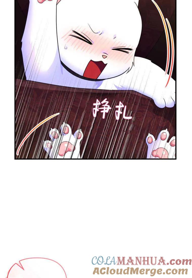 成为苏尔坦珍爱的猫咪 第17话 第97页
