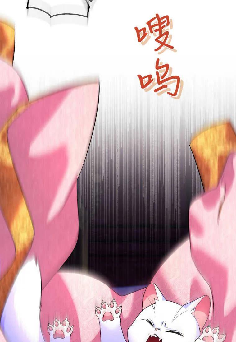成为苏尔坦珍爱的猫咪 第17话 第56页