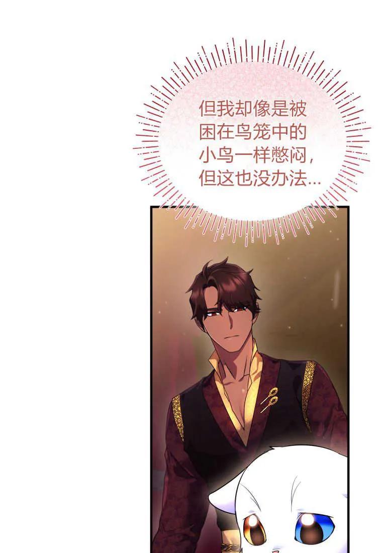 成为苏尔坦珍爱的猫咪 第17话 第74页