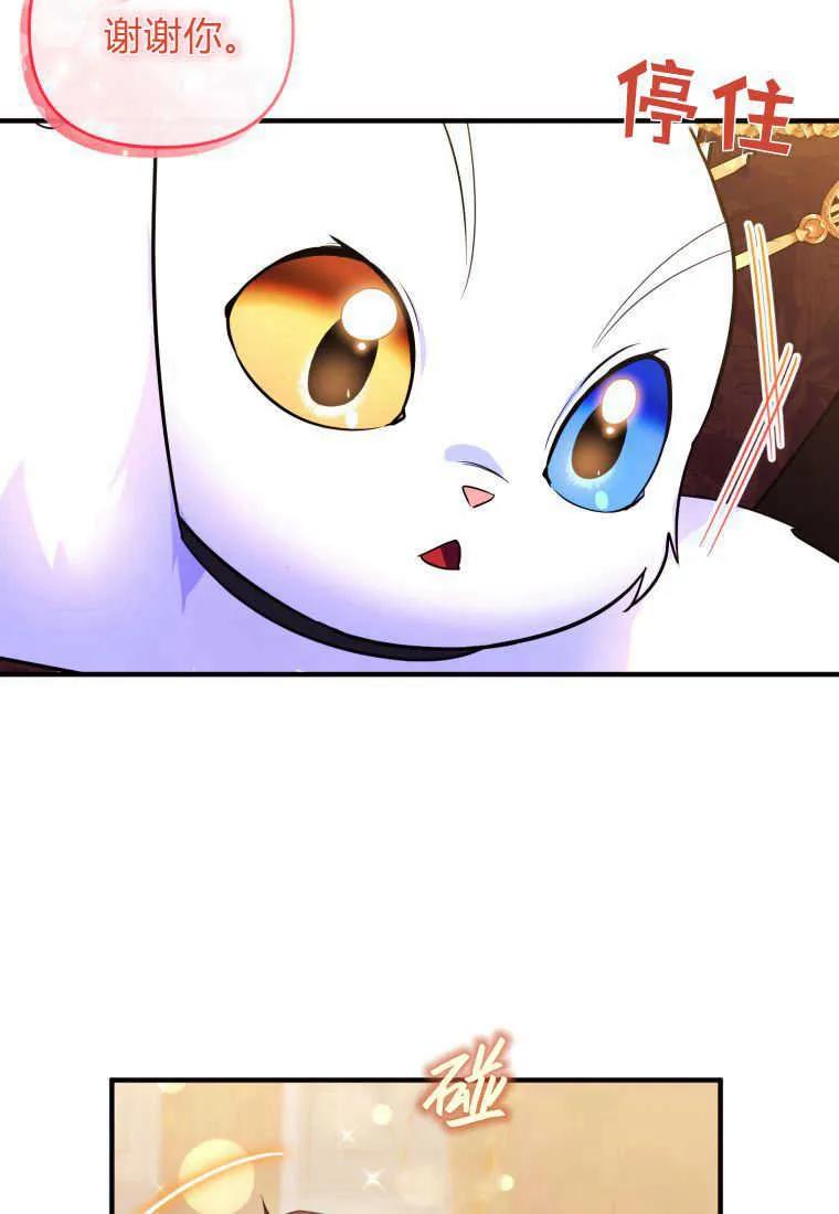 成为苏尔坦珍爱的猫咪 第17话 第98页