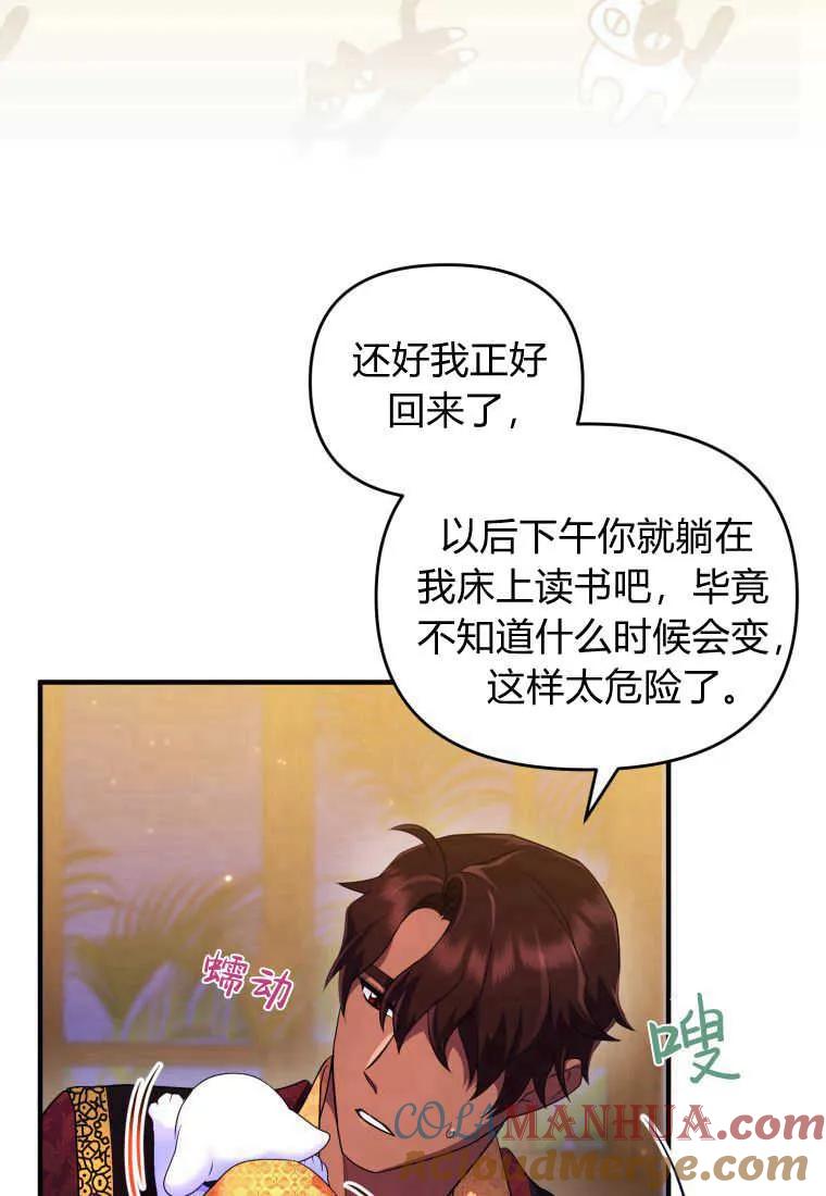 成为苏尔坦珍爱的猫咪 第17话 第61页