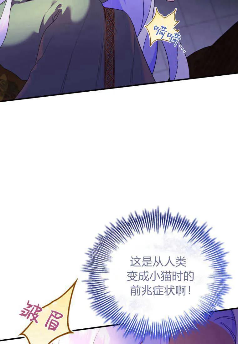 成为苏尔坦珍爱的猫咪 第17话 第47页