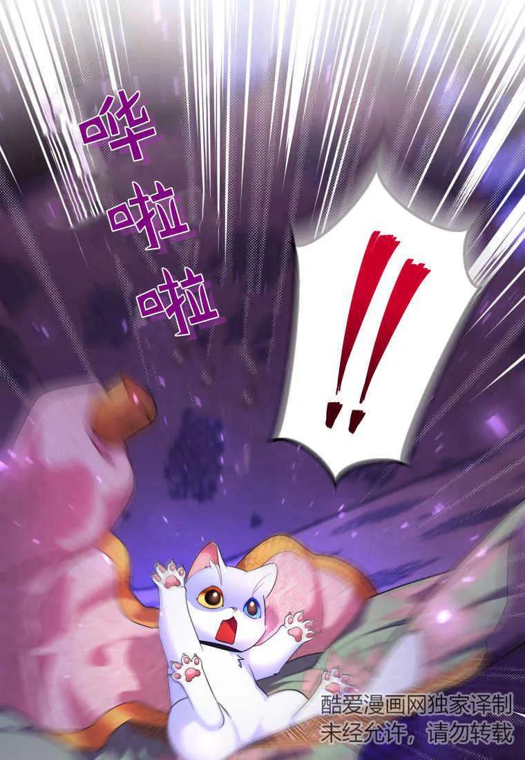 成为苏尔坦珍爱的猫咪 第17话 第54页