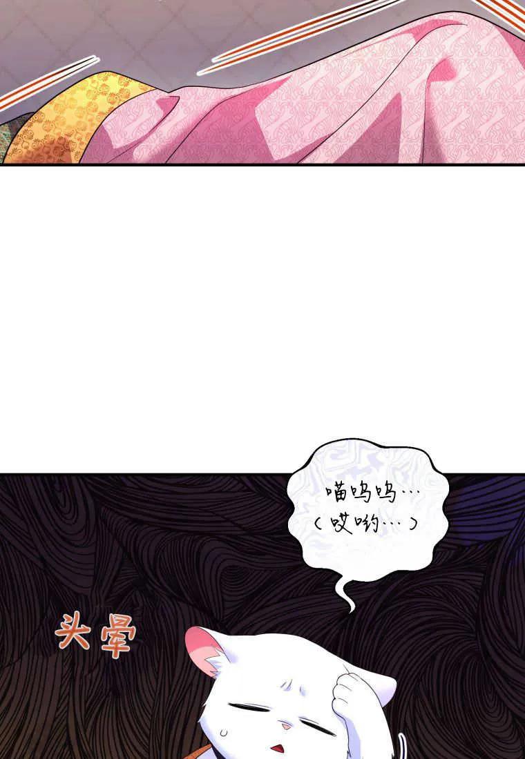 成为苏尔坦珍爱的猫咪 第17话 第51页
