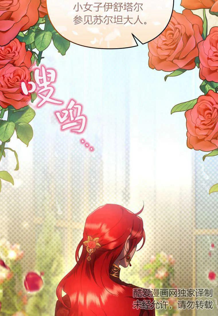 成为苏尔坦珍爱的猫咪 第18话 第43页
