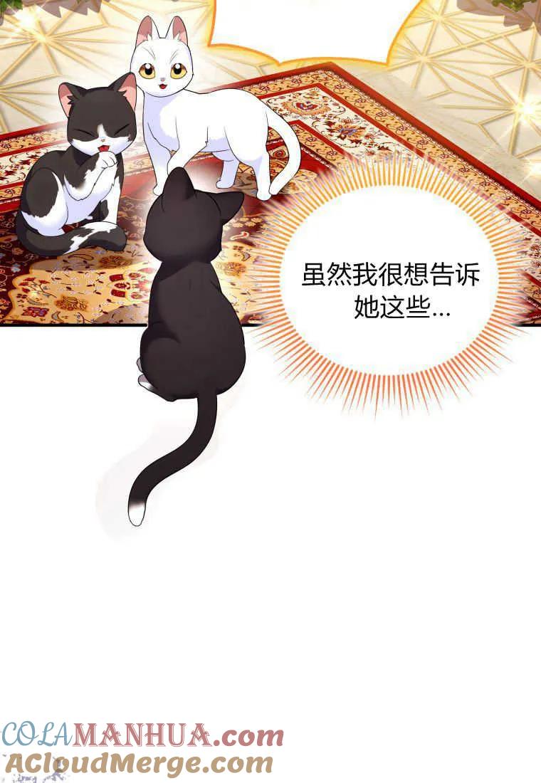 成为苏尔坦珍爱的猫咪 第18话 第93页