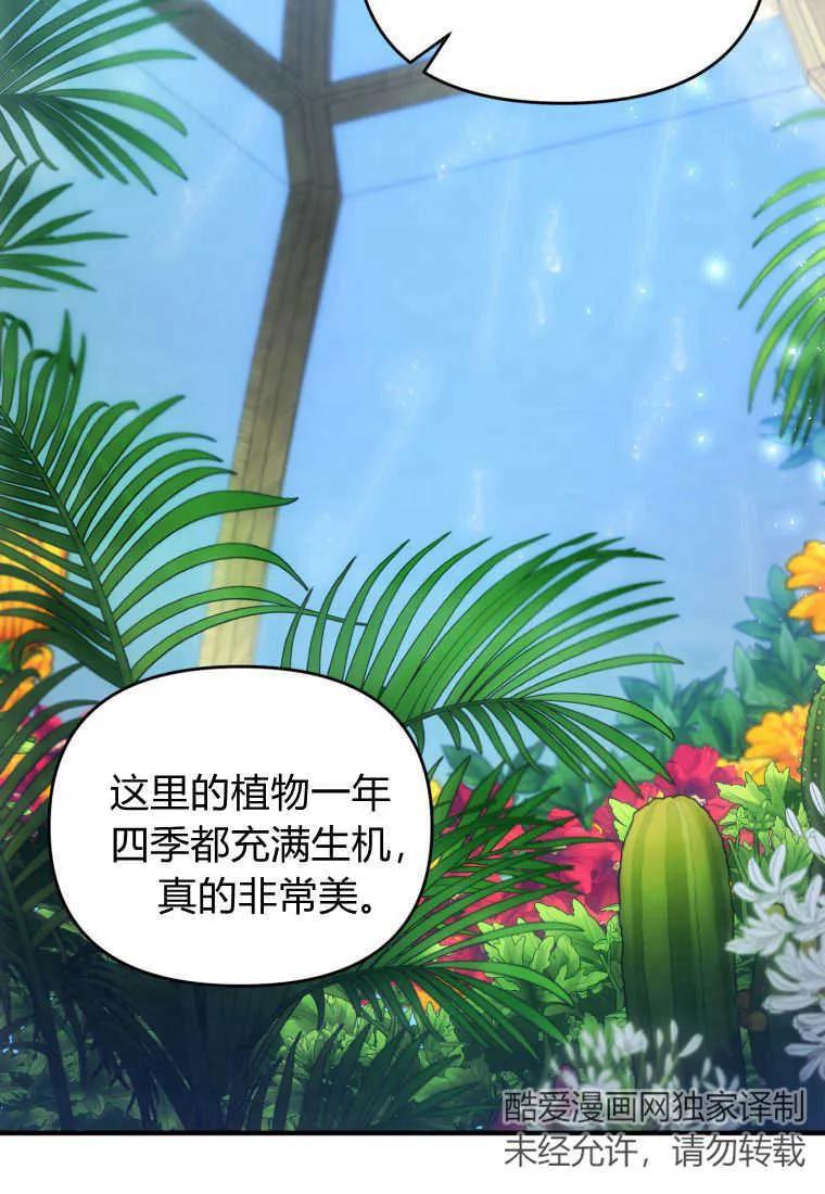 成为苏尔坦珍爱的猫咪 第18话 第2页