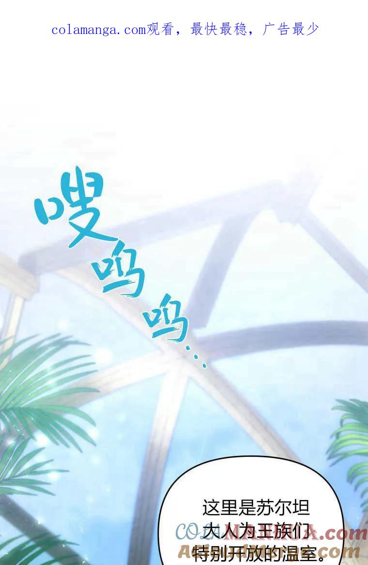 成为苏尔坦珍爱的猫咪 第18话 第1页