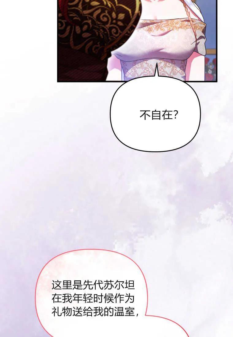 成为苏尔坦珍爱的猫咪 第19话 第47页