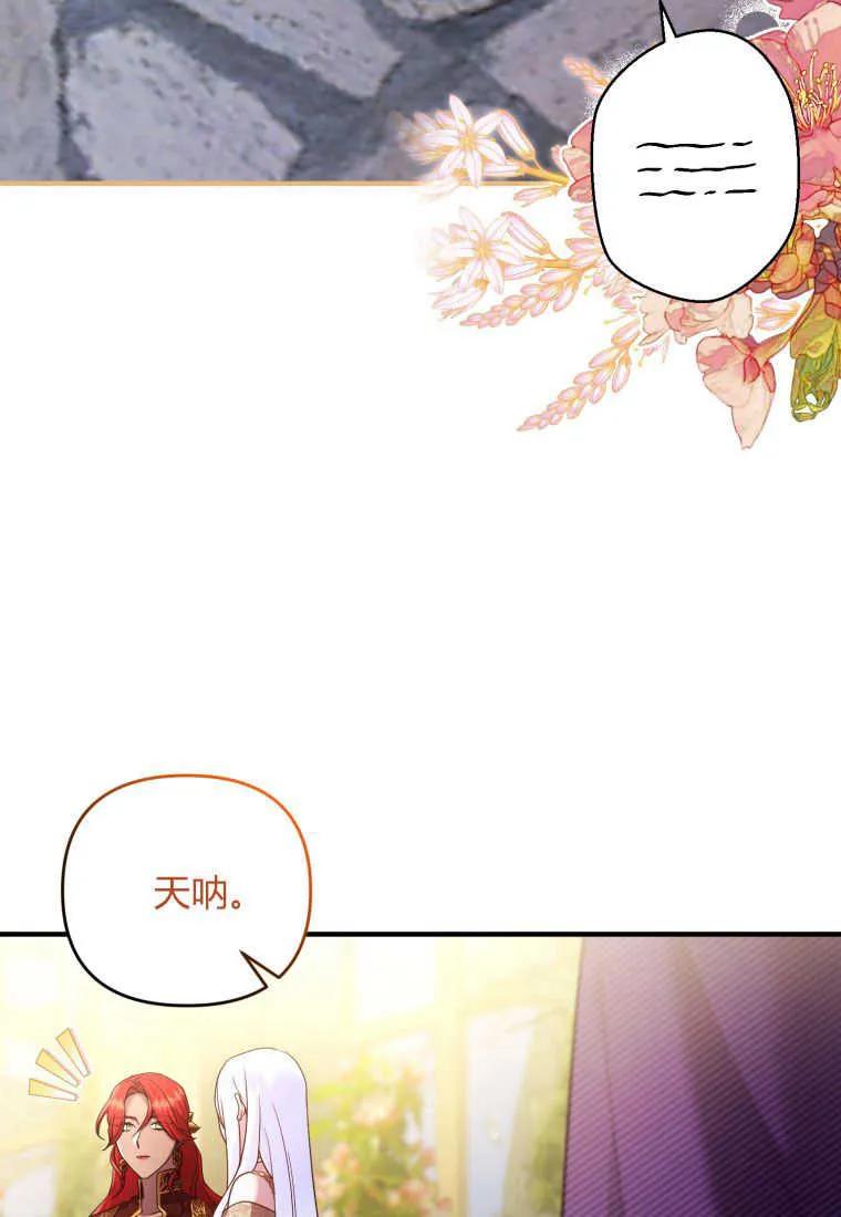 成为苏尔坦珍爱的猫咪 第19话 第16页