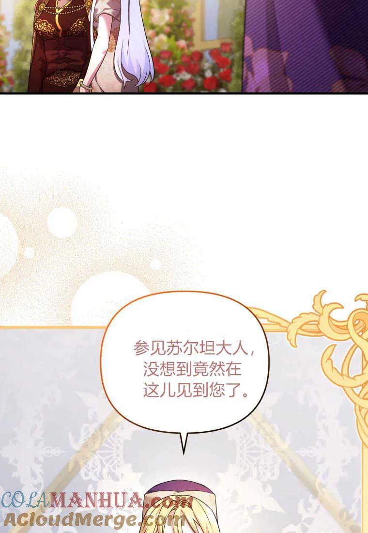 成为苏尔坦珍爱的猫咪 第19话 第17页