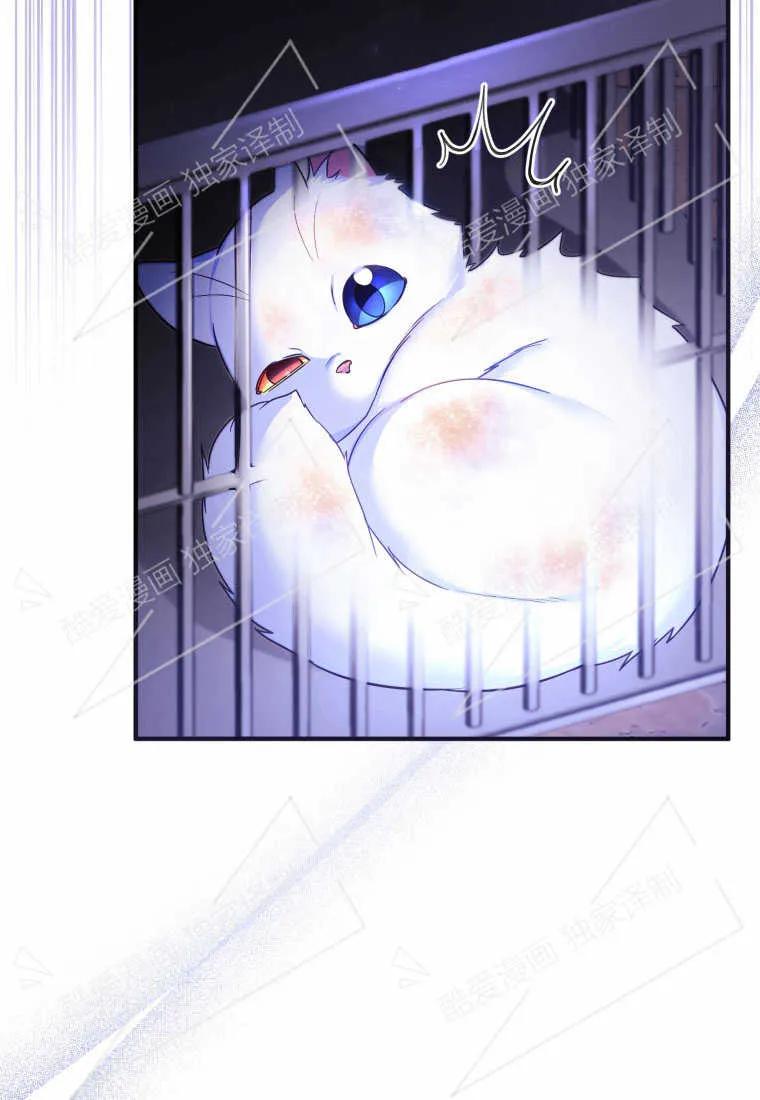 成为苏尔坦珍爱的猫咪 第02话 第32页