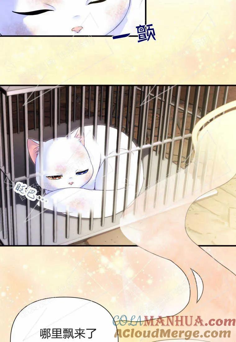 成为苏尔坦珍爱的猫咪 第02话 第57页
