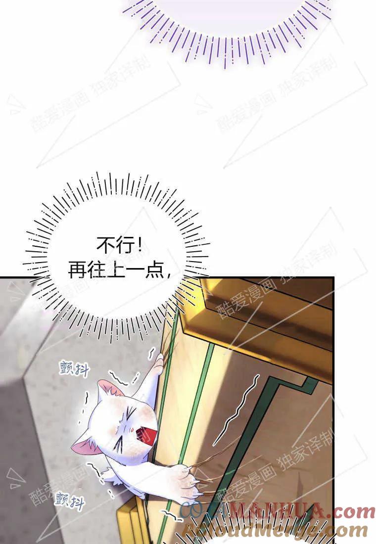 成为苏尔坦珍爱的猫咪 第02话 第113页