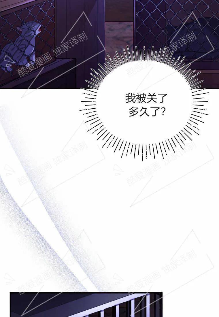 成为苏尔坦珍爱的猫咪 第02话 第34页