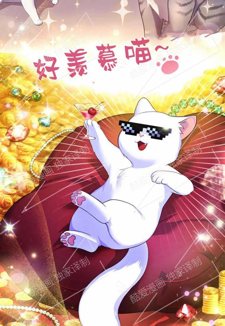 成为苏尔坦珍爱的猫咪 第02话 第51页