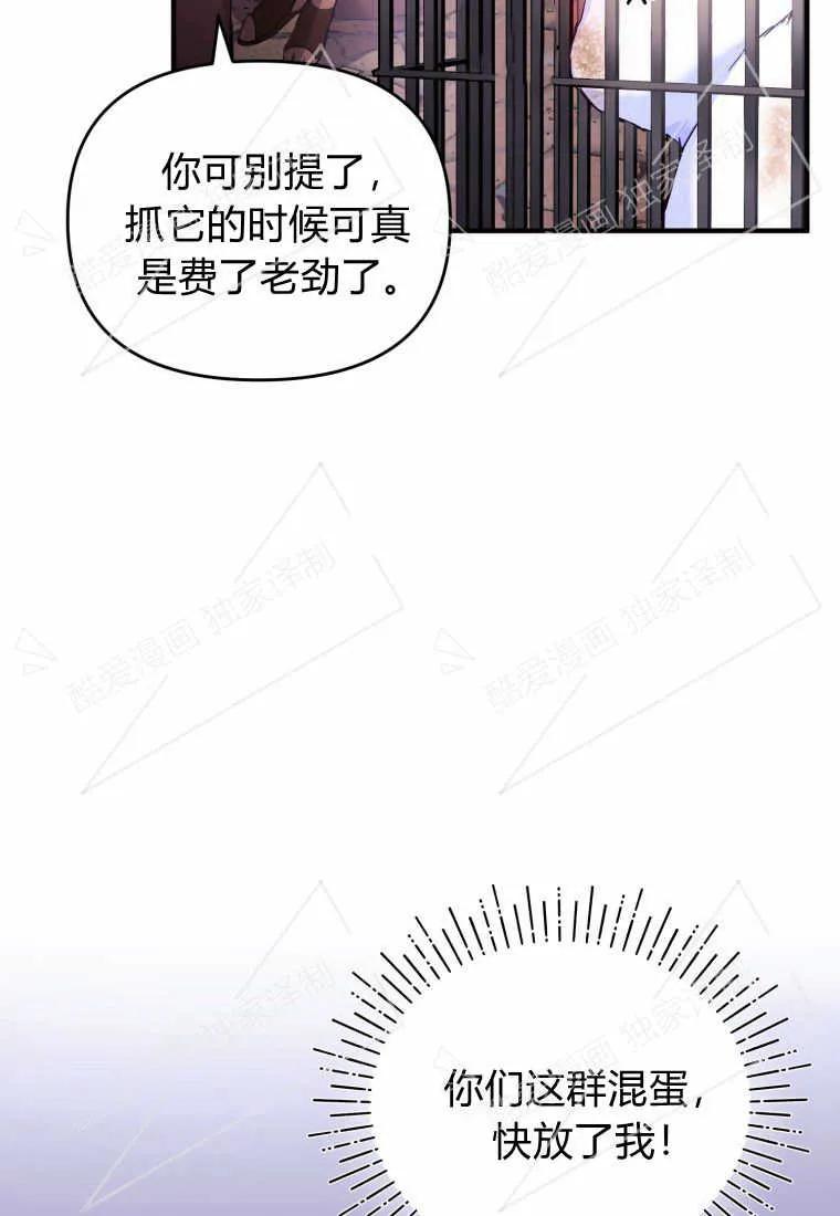 成为苏尔坦珍爱的猫咪 第02话 第12页