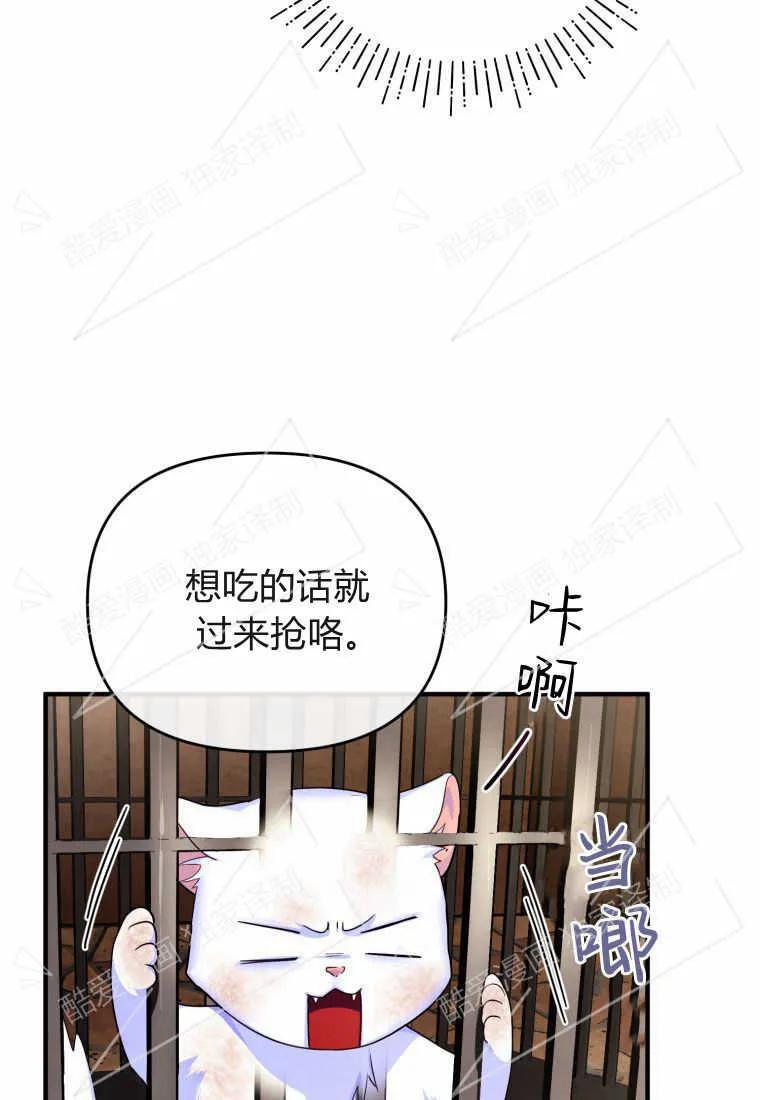 成为苏尔坦珍爱的猫咪 第02话 第66页
