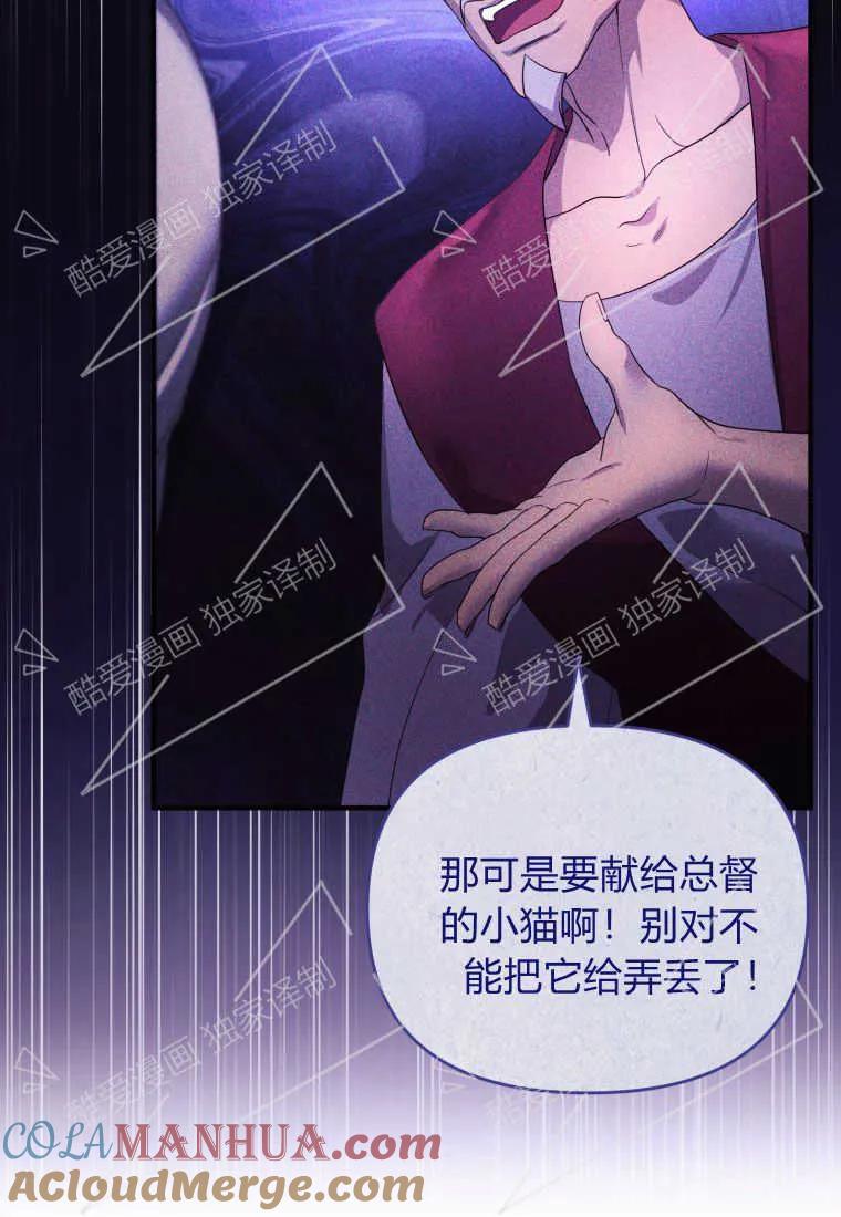 成为苏尔坦珍爱的猫咪 第02话 第45页