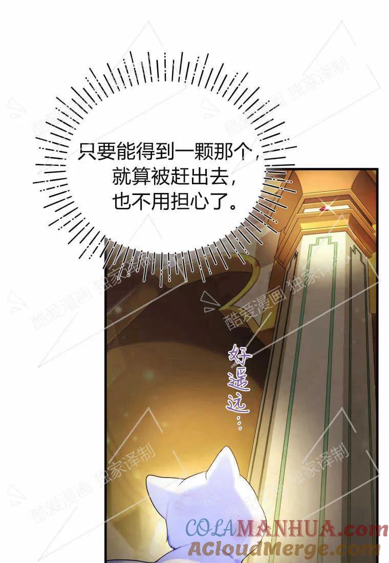 成为苏尔坦珍爱的猫咪 第02话 第105页