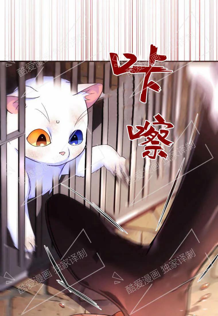 成为苏尔坦珍爱的猫咪 第02话 第74页