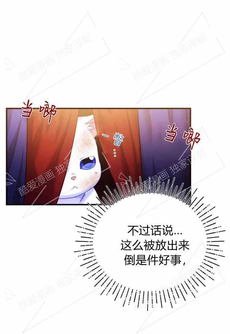 成为苏尔坦珍爱的猫咪 第02话 第88页