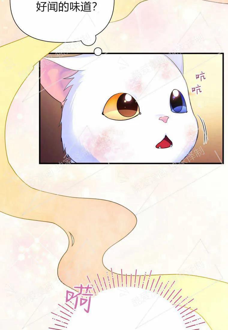 成为苏尔坦珍爱的猫咪 第02话 第58页