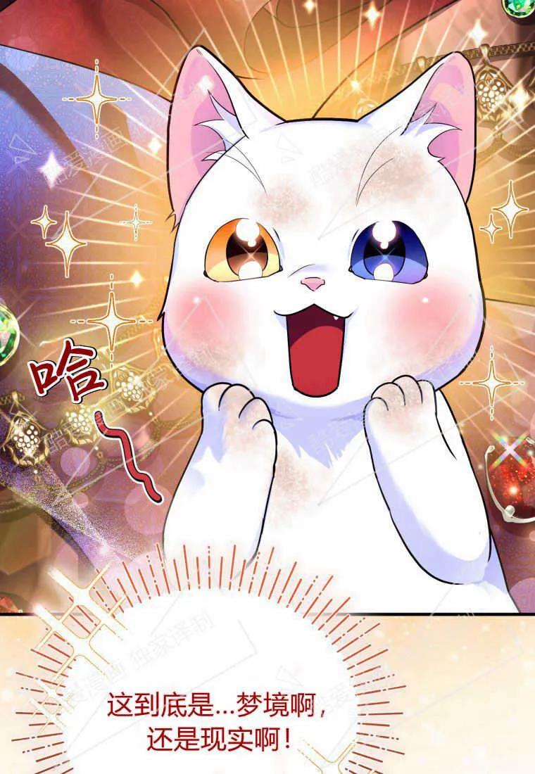 成为苏尔坦珍爱的猫咪 第02话 第98页