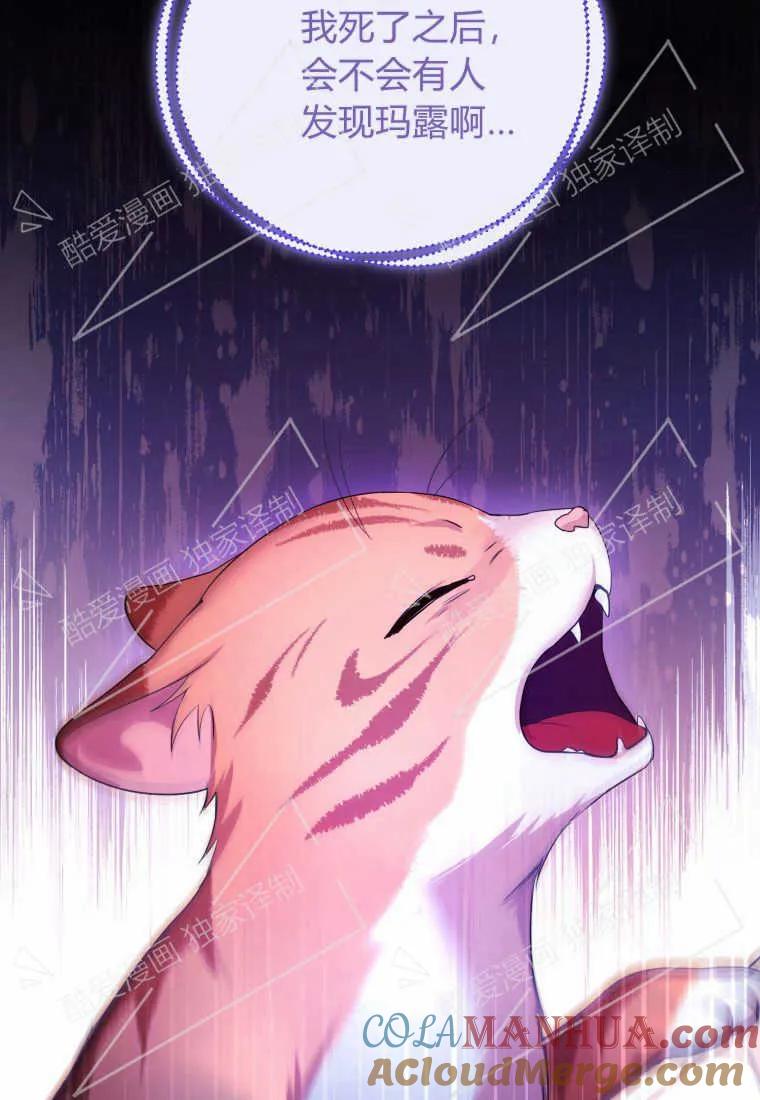 成为苏尔坦珍爱的猫咪 第02话 第29页