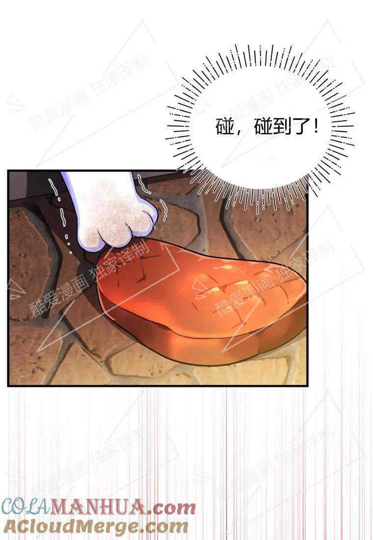 成为苏尔坦珍爱的猫咪 第02话 第73页