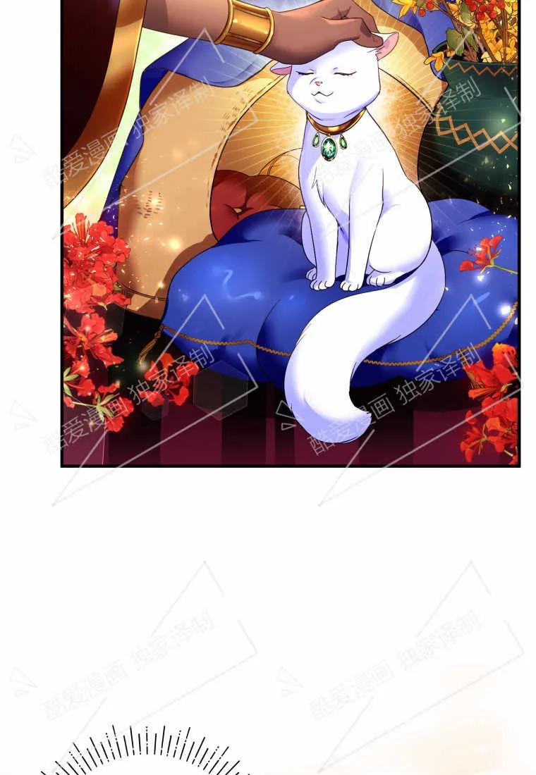 成为苏尔坦珍爱的猫咪 第02话 第48页