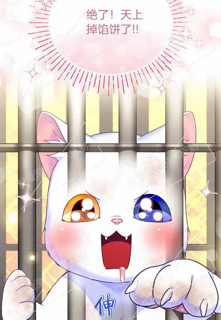 成为苏尔坦珍爱的猫咪 第02话 第71页