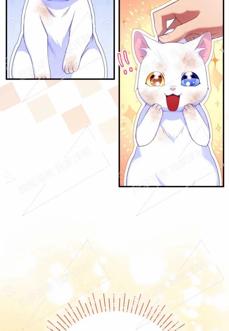成为苏尔坦珍爱的猫咪 第02话 第86页