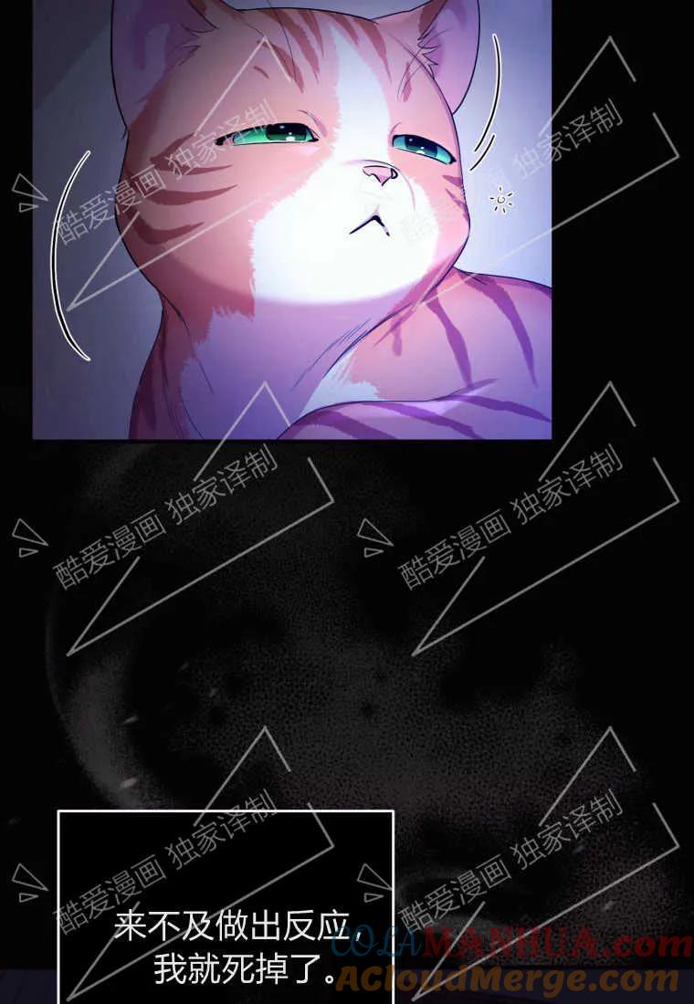 成为苏尔坦珍爱的猫咪 第02话 第25页