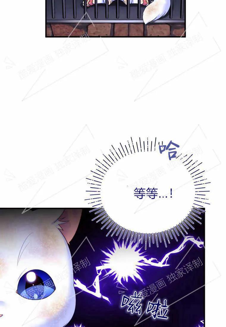成为苏尔坦珍爱的猫咪 第02话 第43页