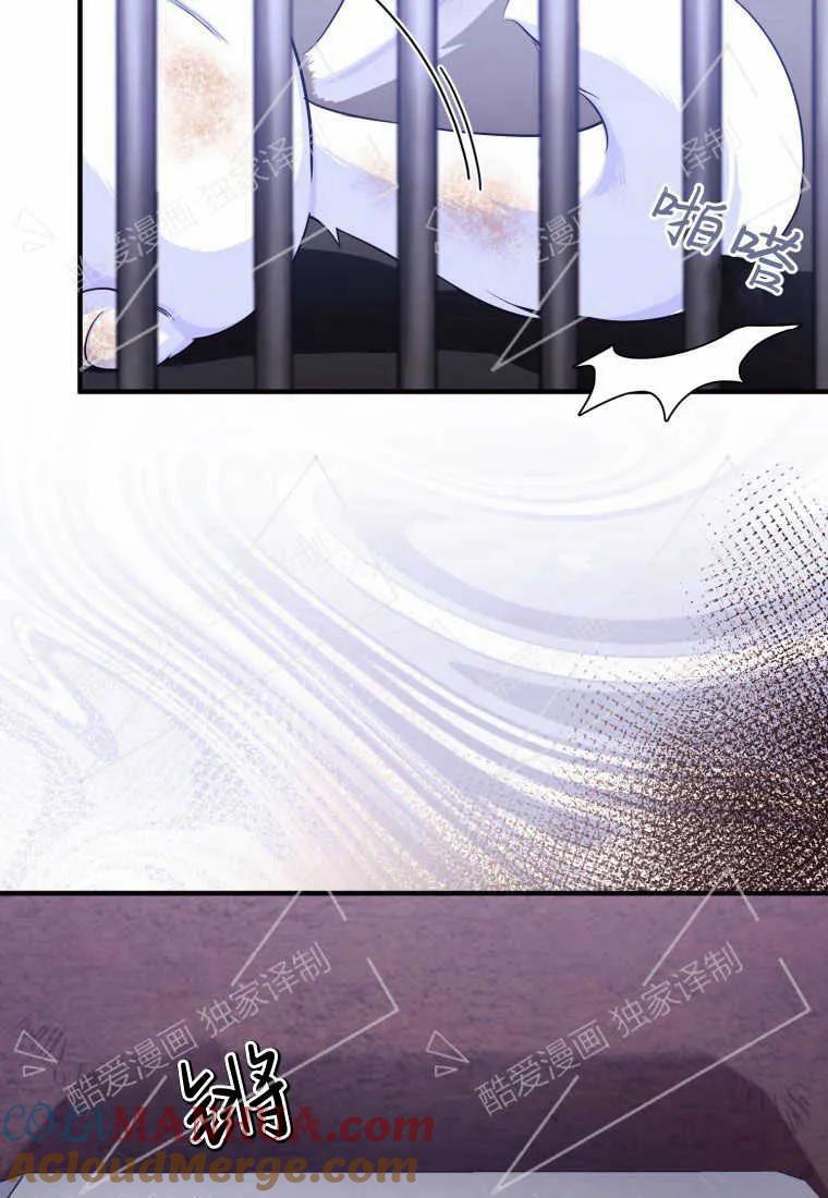 成为苏尔坦珍爱的猫咪 第02话 第9页