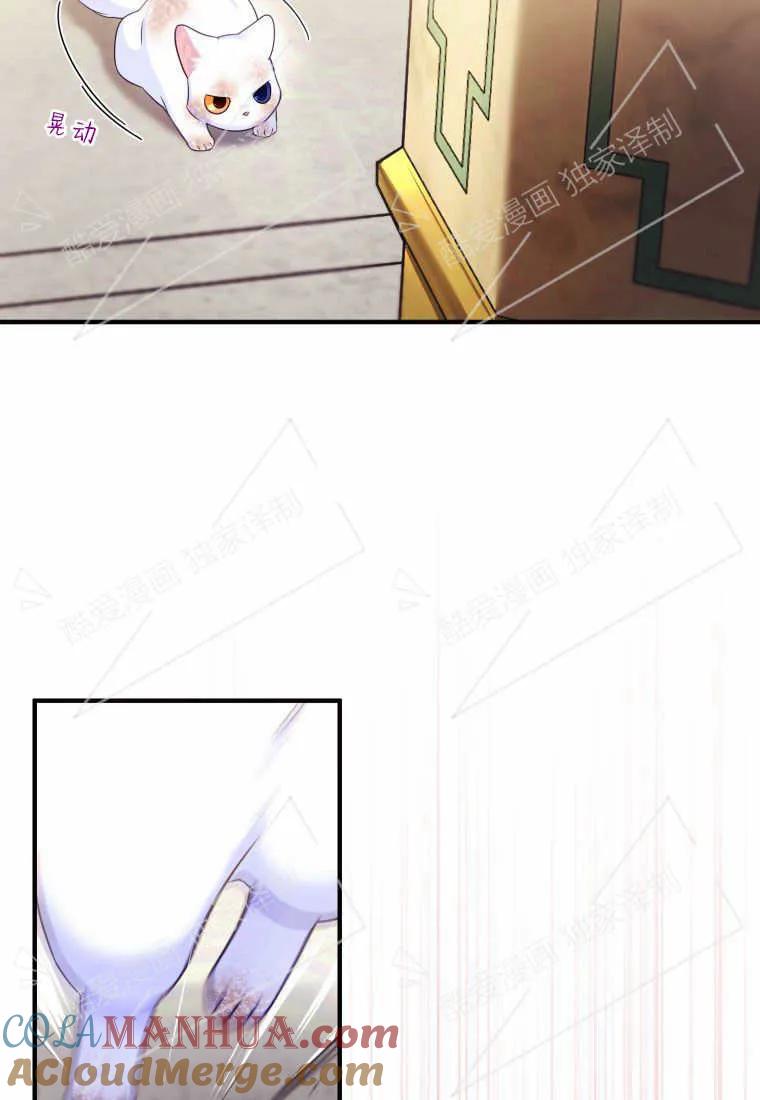 成为苏尔坦珍爱的猫咪 第02话 第109页