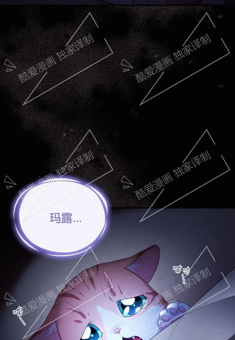 成为苏尔坦珍爱的猫咪 第02话 第27页