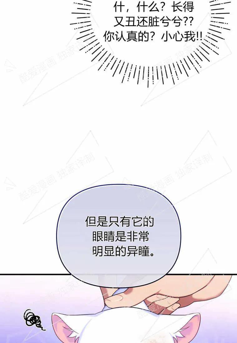成为苏尔坦珍爱的猫咪 第02话 第82页
