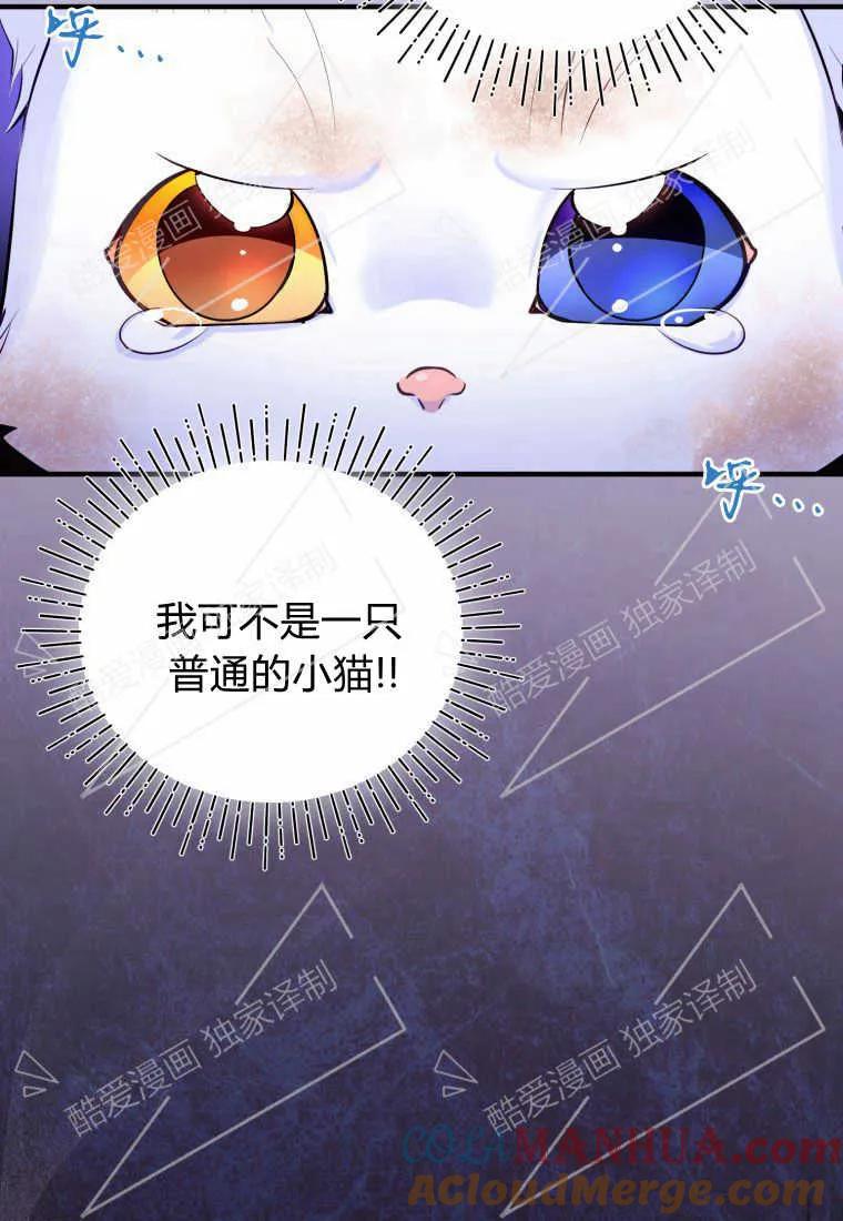 成为苏尔坦珍爱的猫咪 第02话 第13页