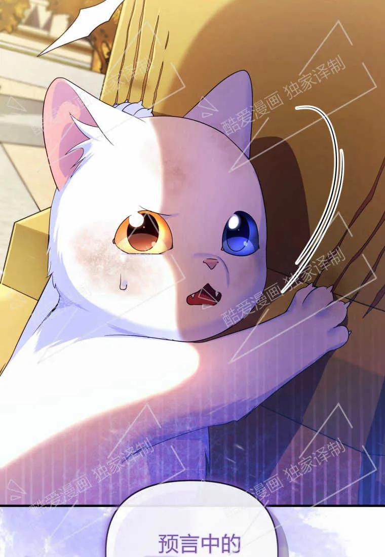 成为苏尔坦珍爱的猫咪 第02话 第118页