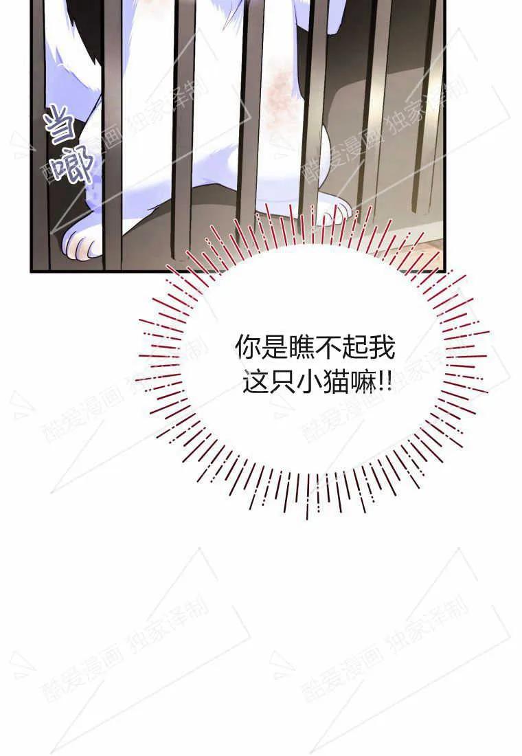 成为苏尔坦珍爱的猫咪 第02话 第67页