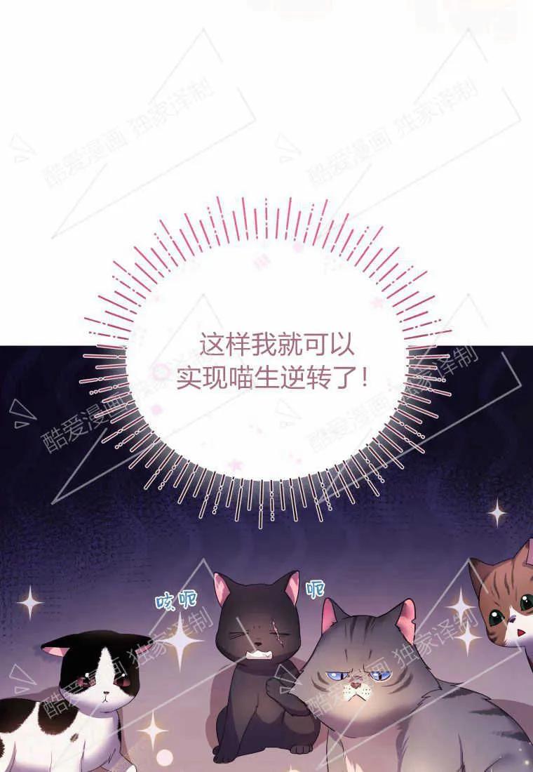 成为苏尔坦珍爱的猫咪 第02话 第50页
