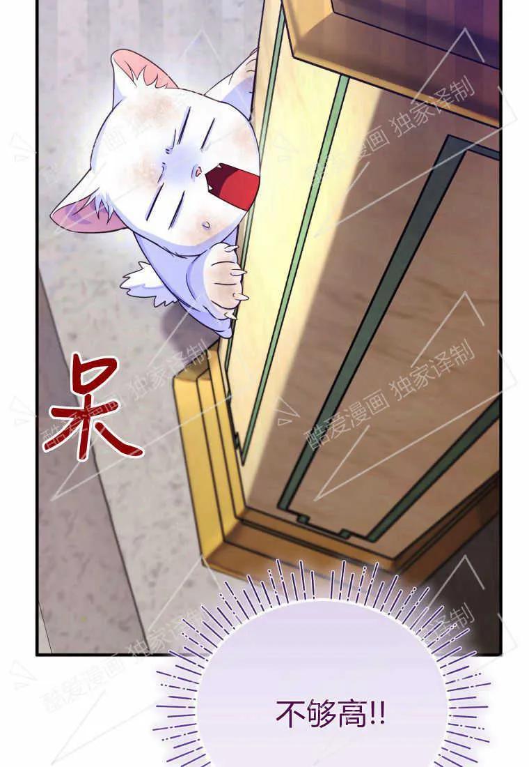 成为苏尔坦珍爱的猫咪 第02话 第112页