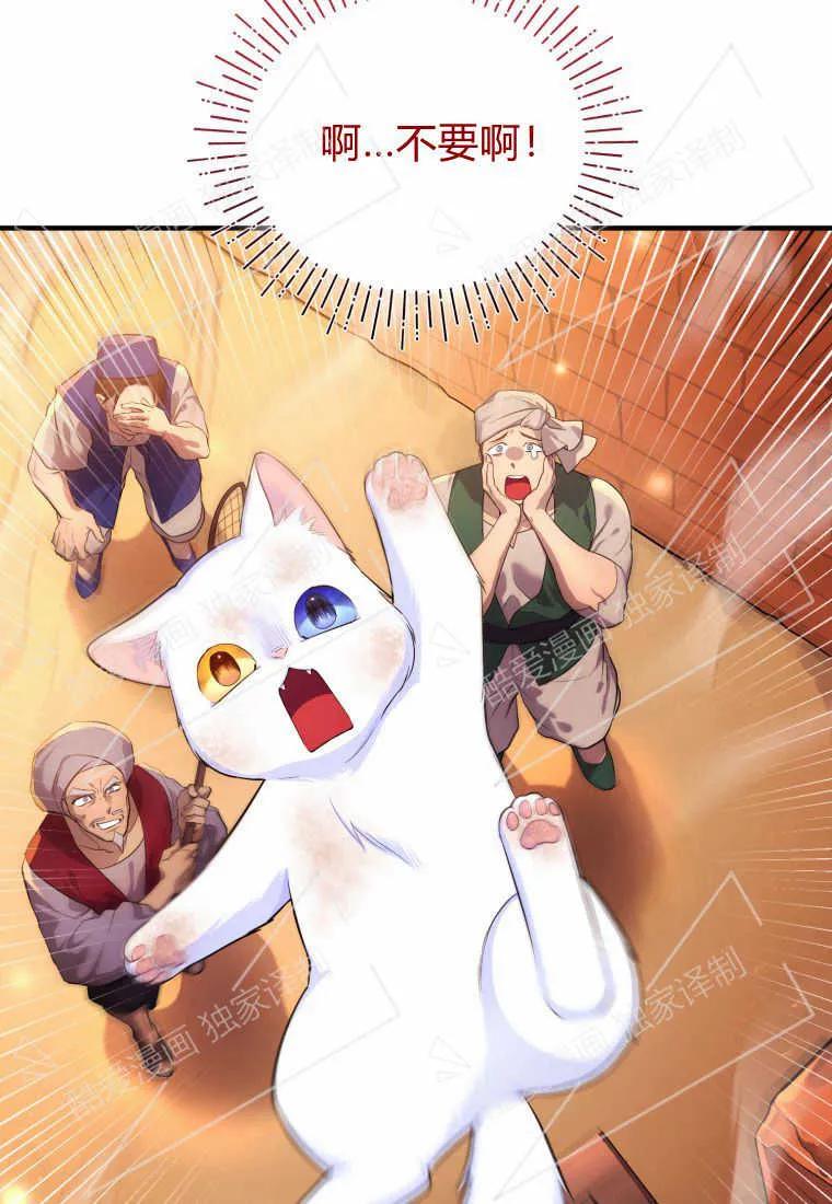 成为苏尔坦珍爱的猫咪 第02话 第4页