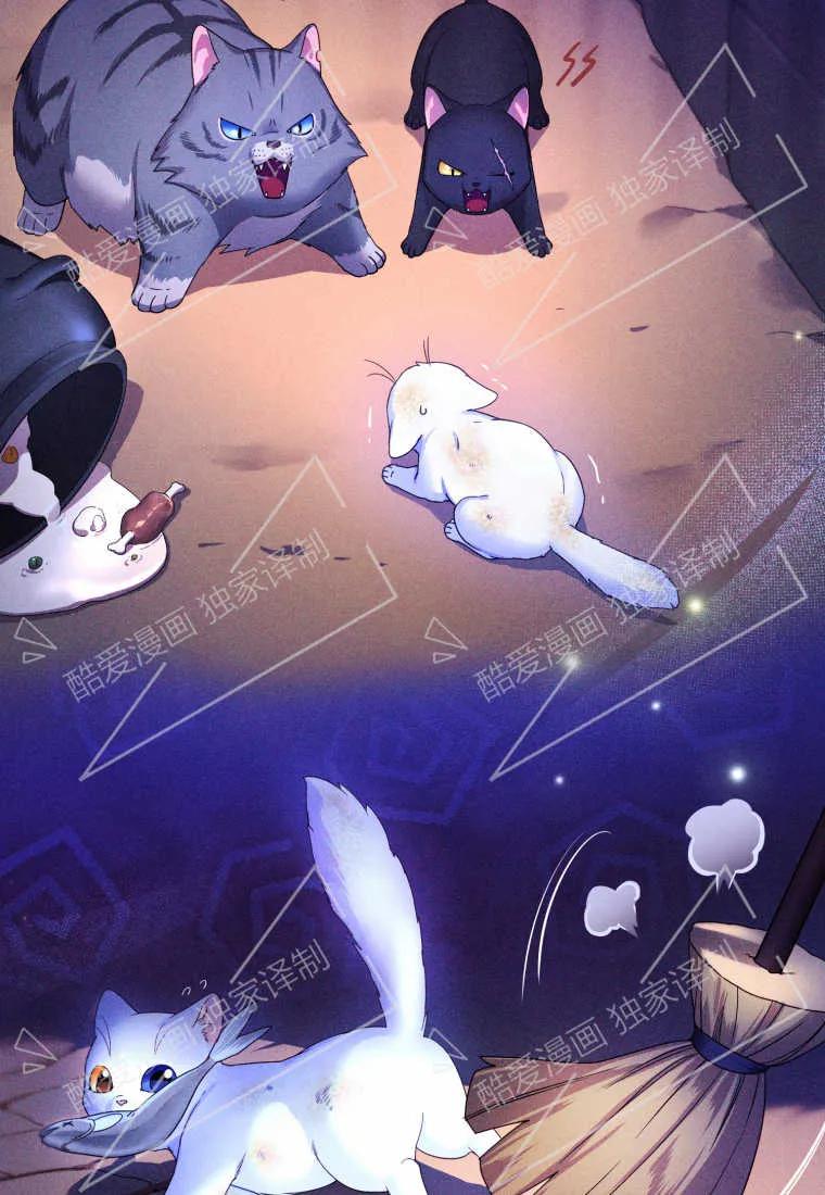 成为苏尔坦珍爱的猫咪 第02话 第40页
