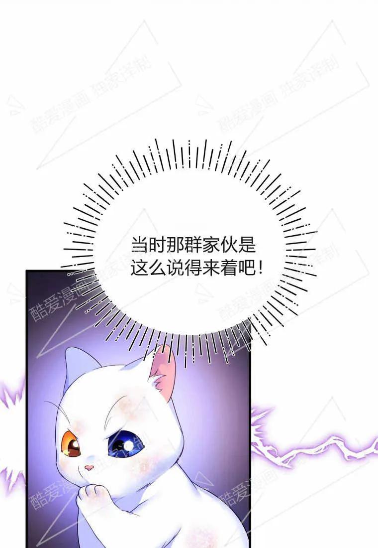 成为苏尔坦珍爱的猫咪 第02话 第46页