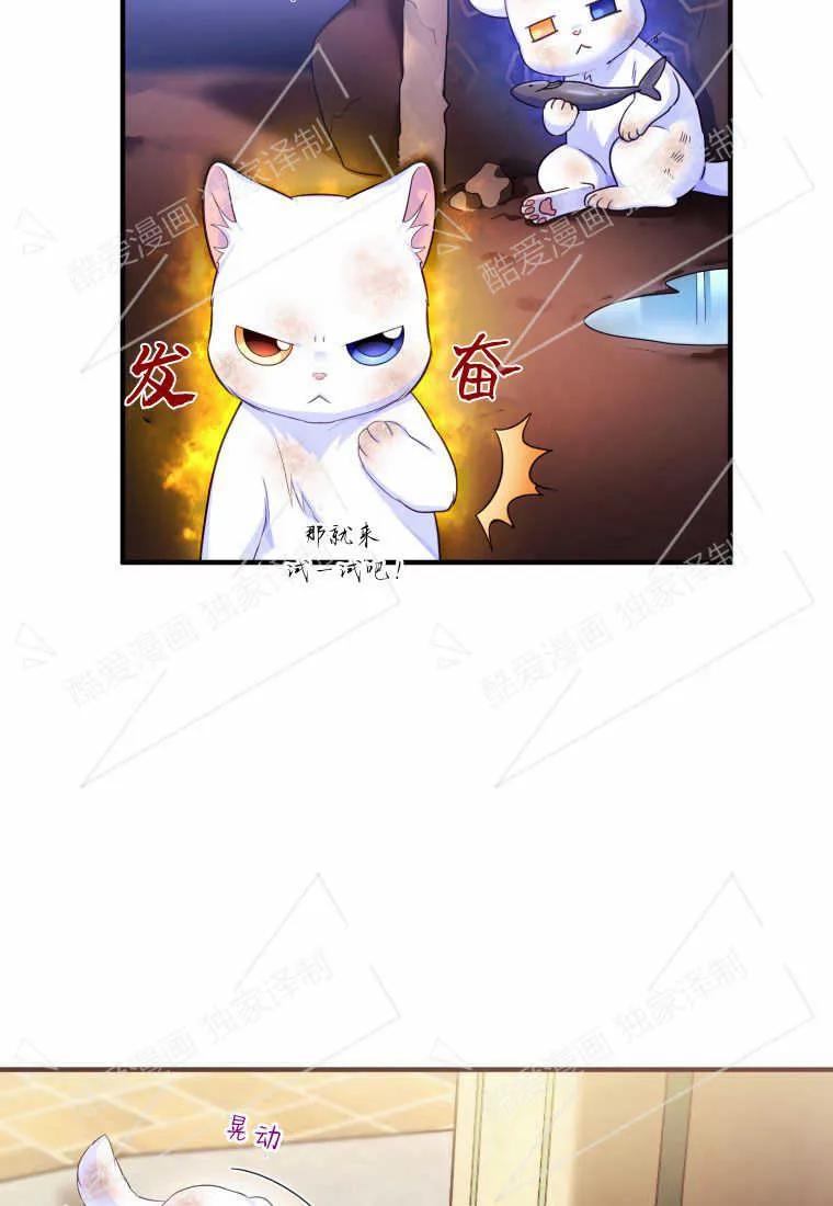 成为苏尔坦珍爱的猫咪 第02话 第108页