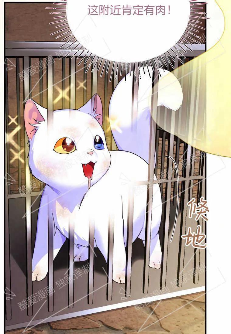 成为苏尔坦珍爱的猫咪 第02话 第59页