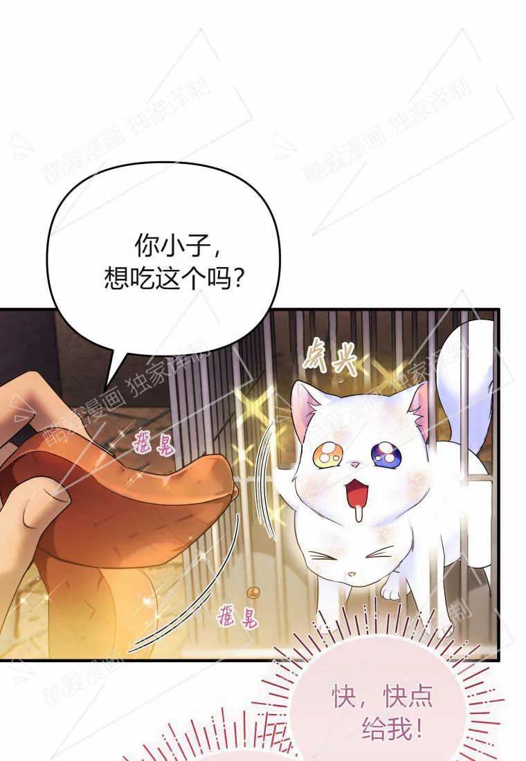 成为苏尔坦珍爱的猫咪 第02话 第63页